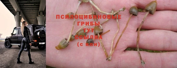 кокаин премиум Новодвинск