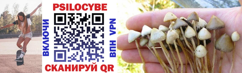 omg как войти  Инза  Псилоцибиновые грибы MAGIC MUSHROOMS 