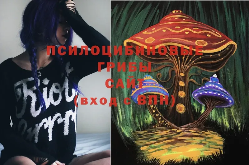 Галлюциногенные грибы MAGIC MUSHROOMS  Инза 